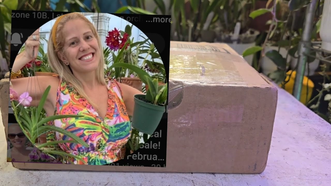 Распаковка орхидей от Melissa Loves Orchids!