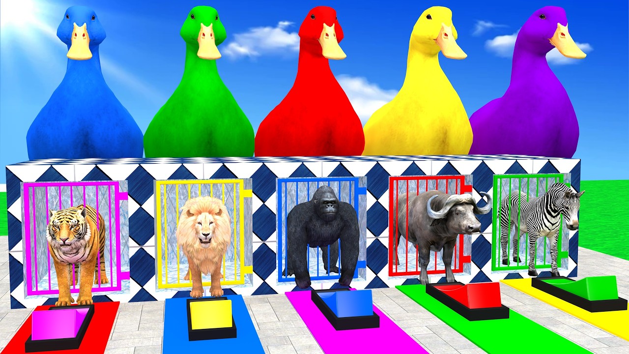 Long Slide Game With Tiger Lion Gorilla Buffalo Zebra Hippopotamus 3d Animal Game Funny 3d Animals