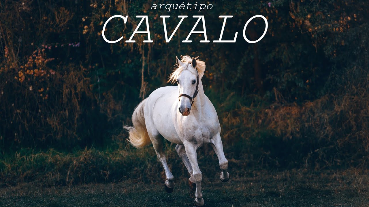 Como ativar o arquétipo do cavalo. Meditação do cavalo, como animal de poder. Medicina do  cavalo