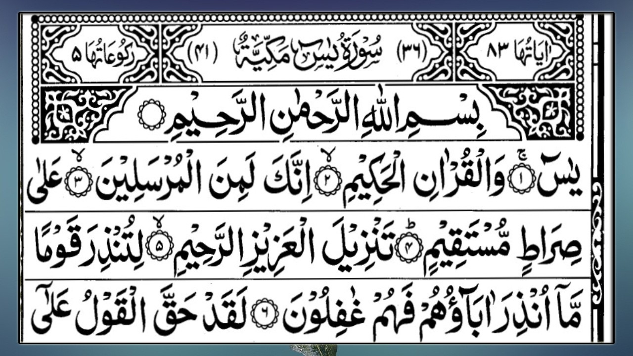 🌹Morning Tilawat | Surah Yaseen🌿 | Surah Rahman | (HD) | Alqama Naziri Official