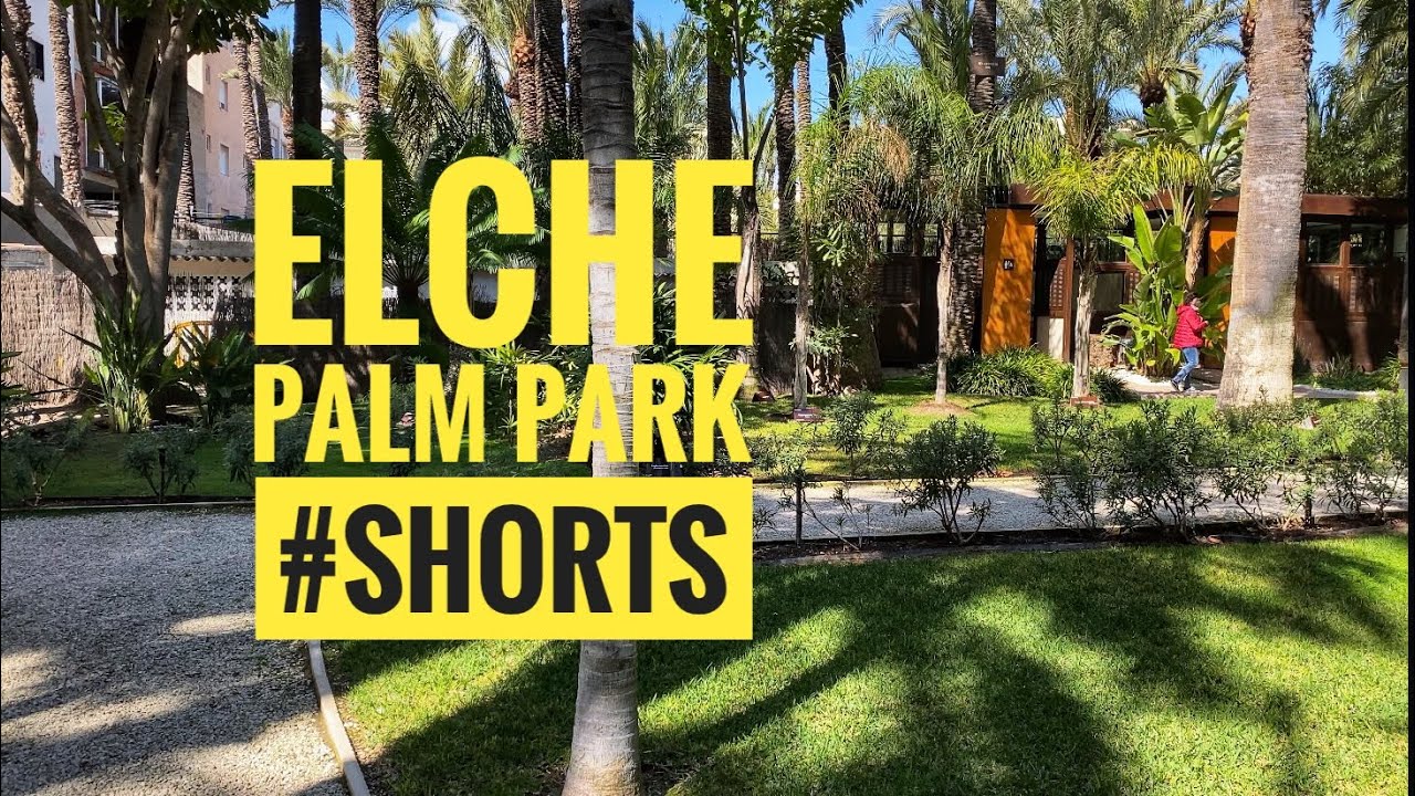 Elche Palm Park #Shorts