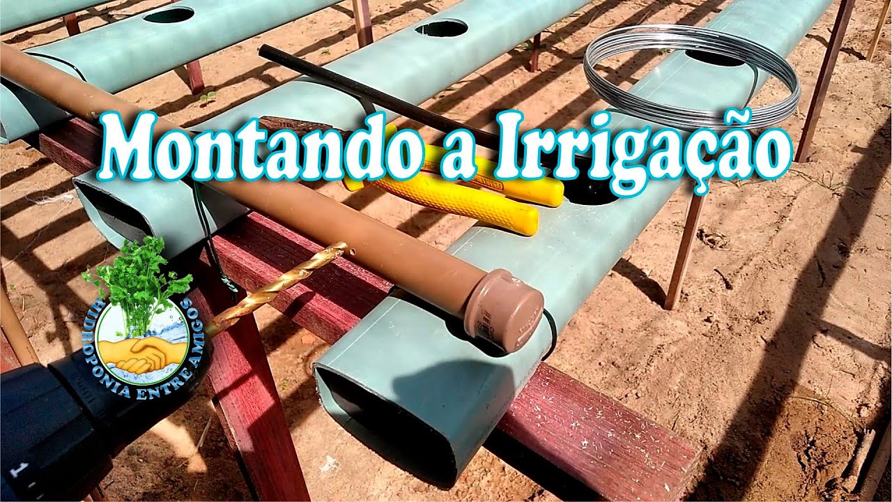 Hidroponia l Como irrigar o sistema