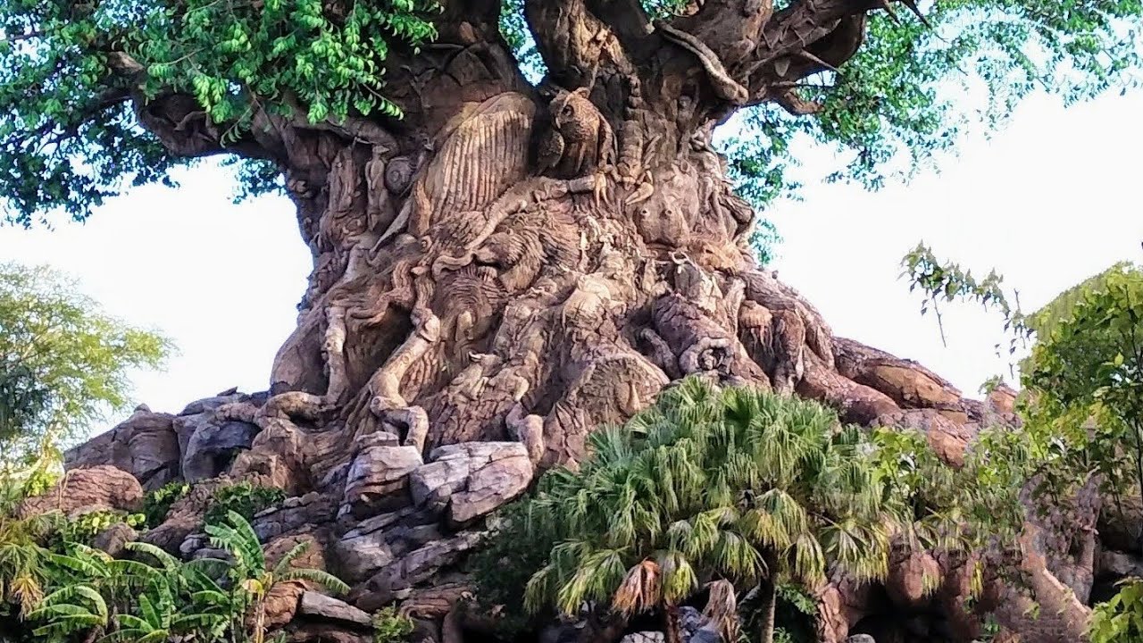My Animal Kingdom Excursion