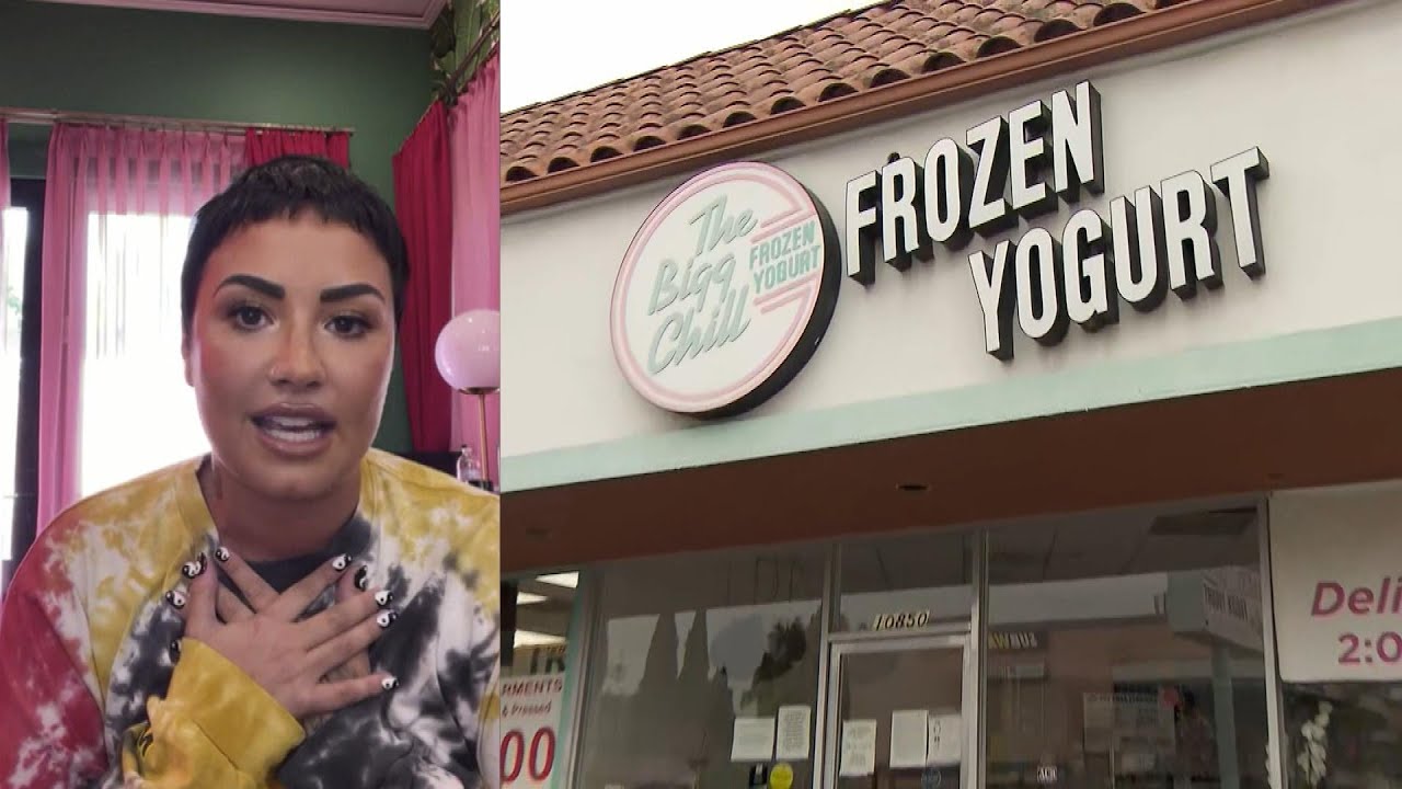 Demi Lovato Apologizes to Froyo Shop for Slamming Them Online