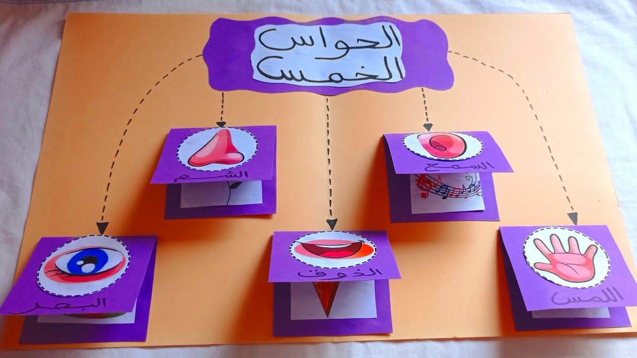 نشاط حول الحواس الخمس