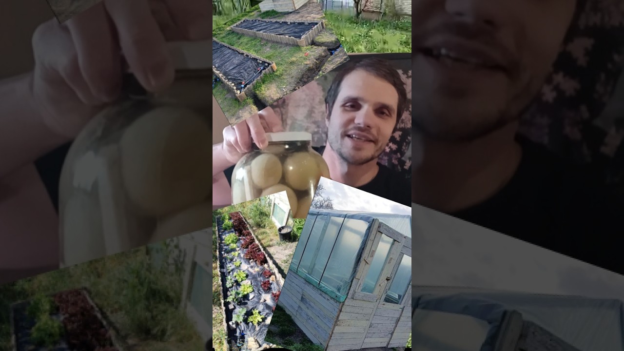 Casa Oak Valley Ep. 2 - Viața la curte: grădină, seră, sistem de picurare și pisici 🐱