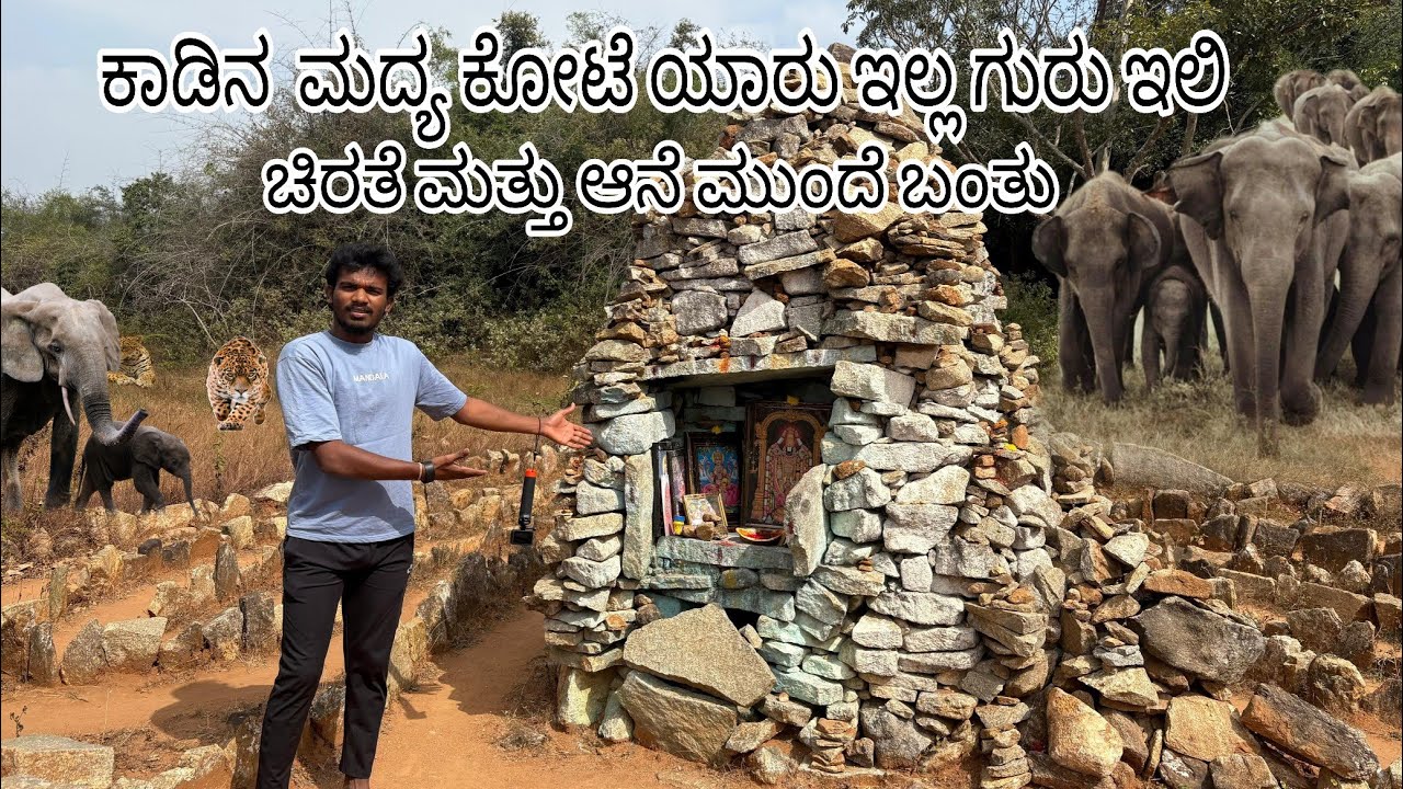 ಕಾಡಿನ ಮಧ್ಯೆ ದೇವರ ನೆಲೆ, ಭಕ್ತಿಯ ಮುಂದೆ ಮೃಗಗಳಿಗೂ ಶಾಂತಿ ಮಾನವನಿಗೂ ಮೃಗಗಳಿಗೂ ಆಶ್ರಯವಾಗಿರುವ ಪವಿತ್ರ ಸ್ಥಳ 🐘🏞️😱
