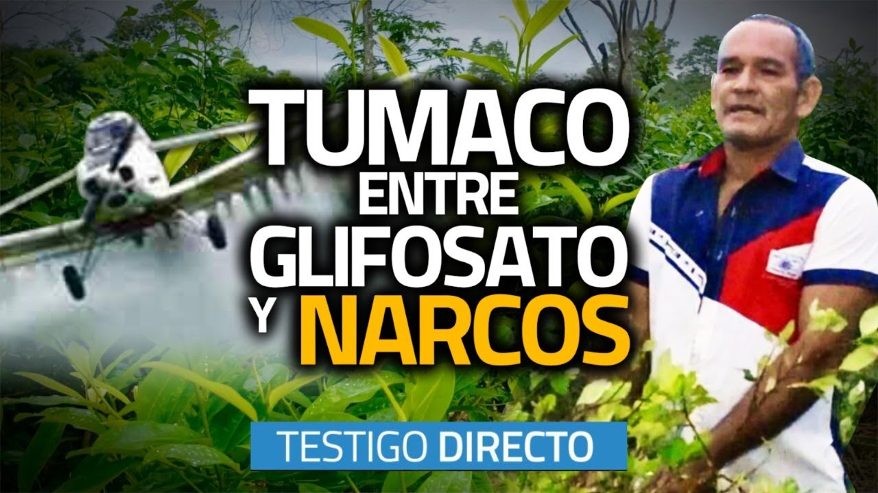 Campesinos cocaleros: entre el gobierno y los narcos - Testigo Directo