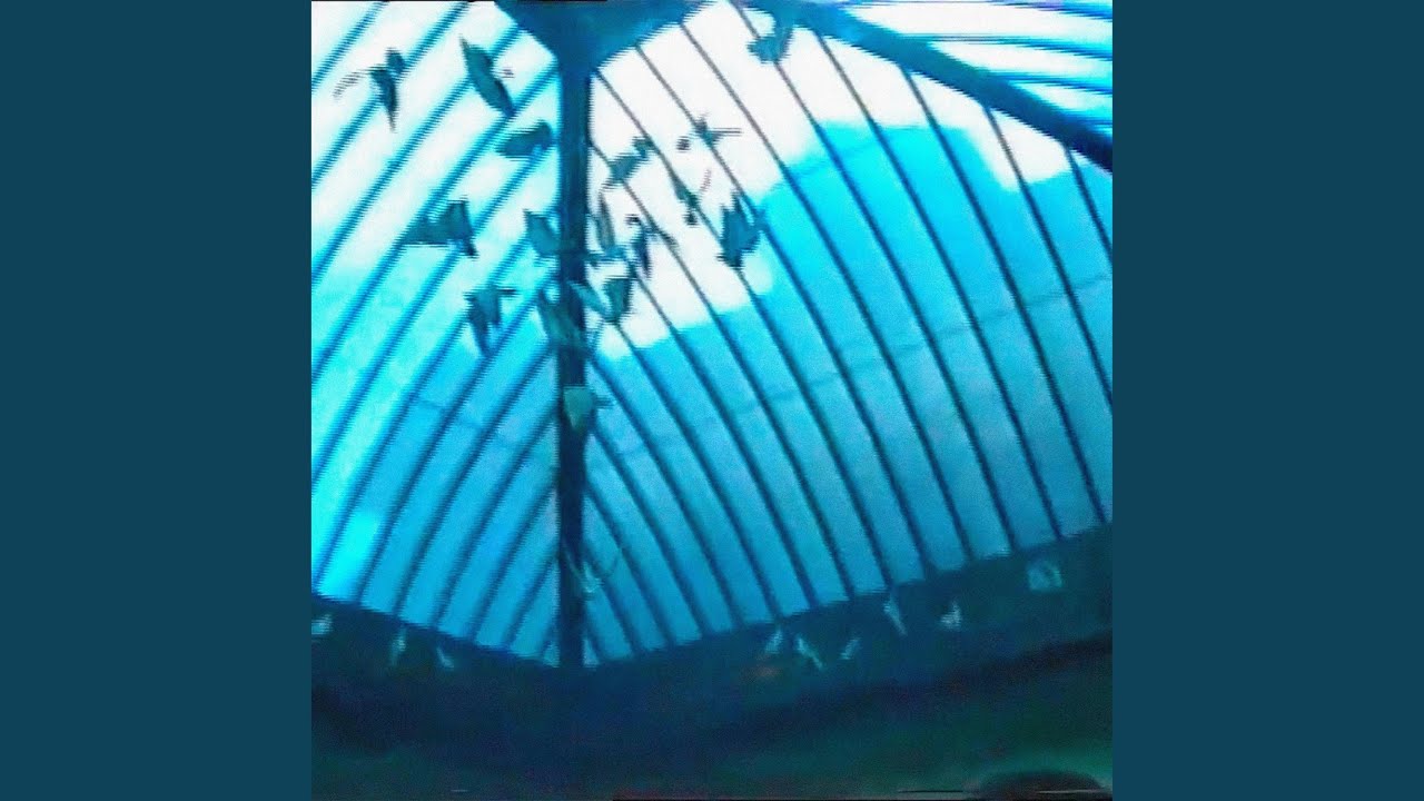 blue vision