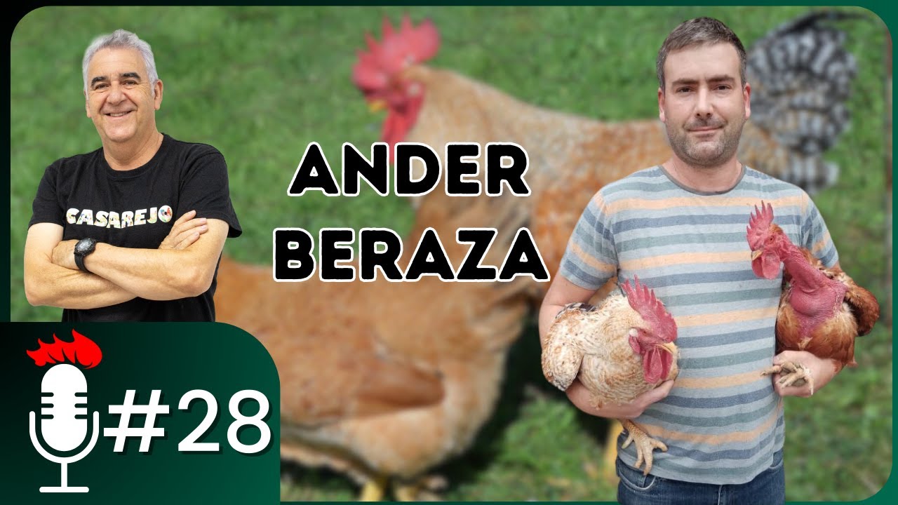 🎙️ La EUSKAL OILOA: la gallina vasca | Podcast #28 con Ander Beraza