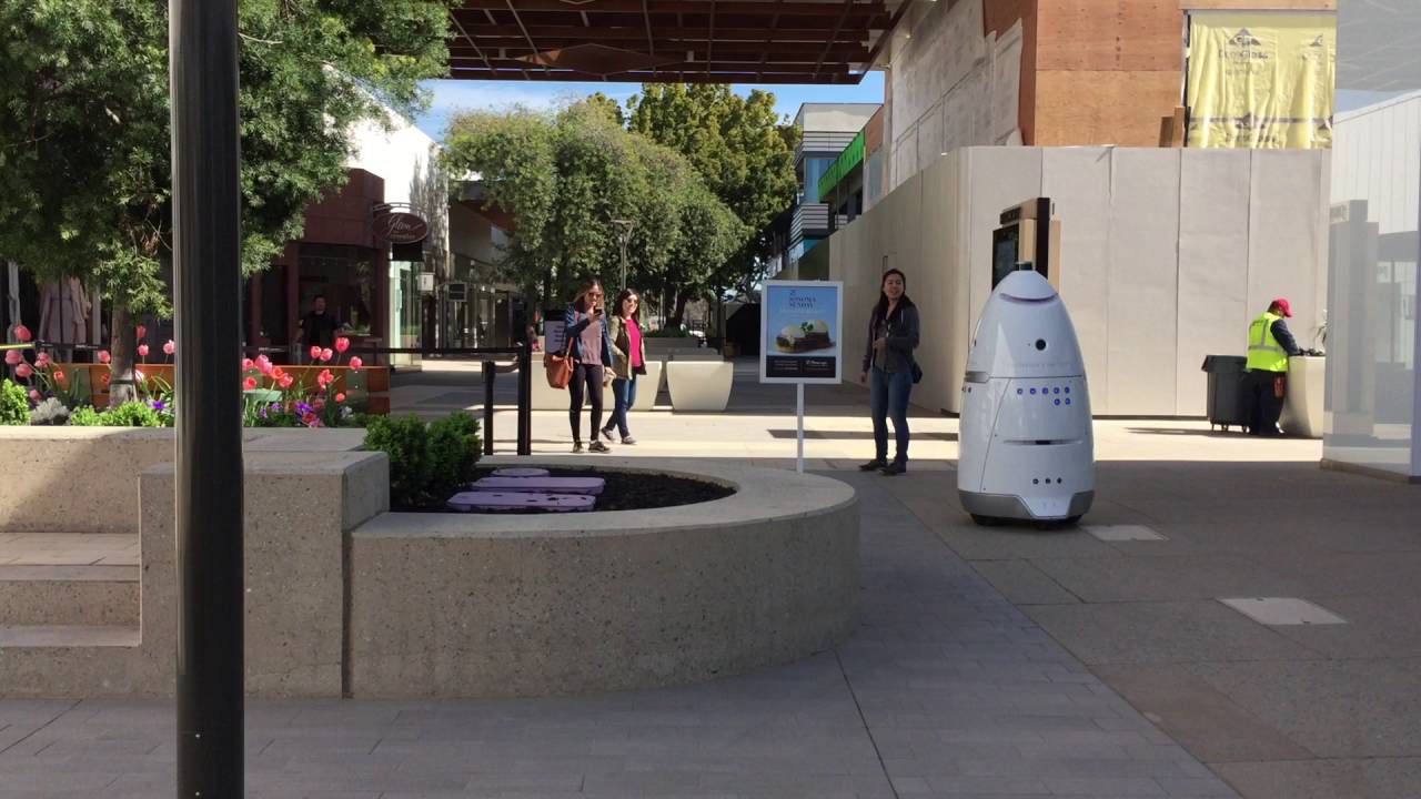 security robot at work