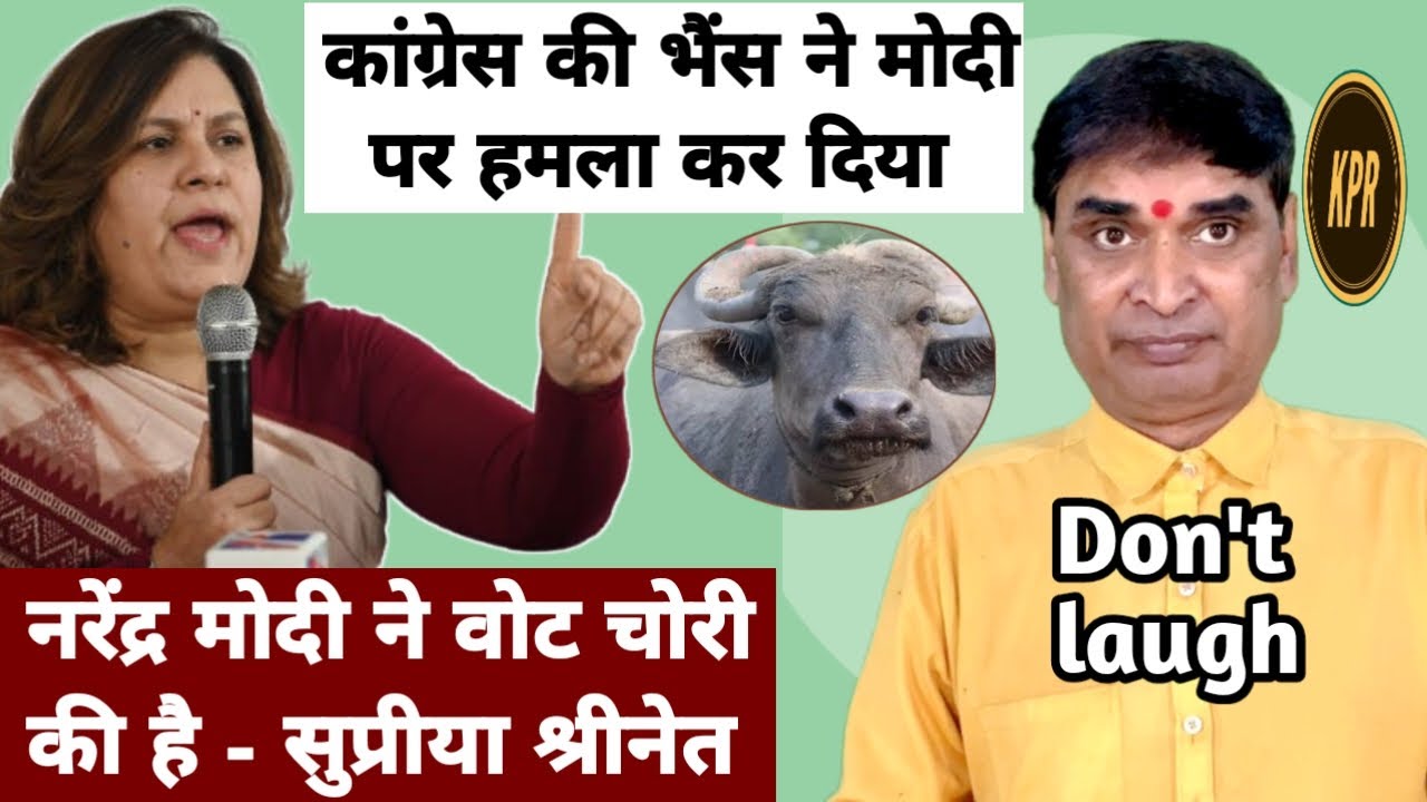 कांग्रेस की भैंस ने माेदी के साथ ऐ क्या किया, देखिए | kavi Pritam Ritu | news hindi | breaking news 