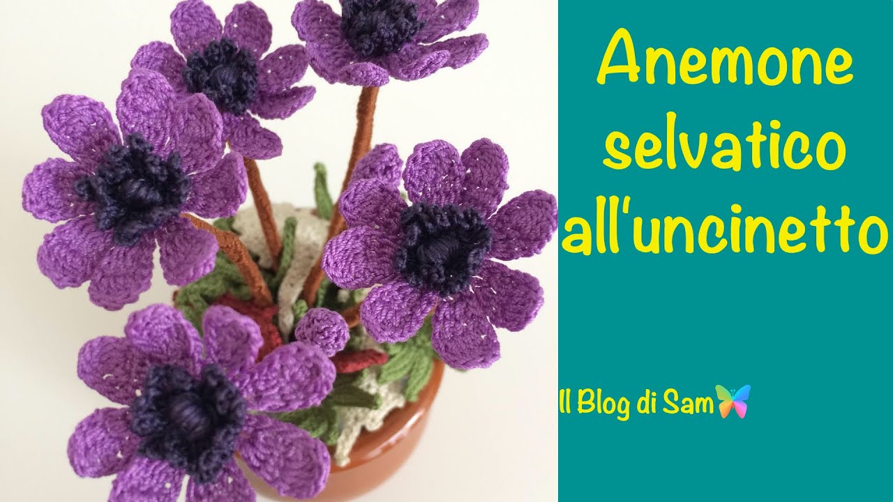 Spiegazione dell'Anemone Selvatico all'uncinetto