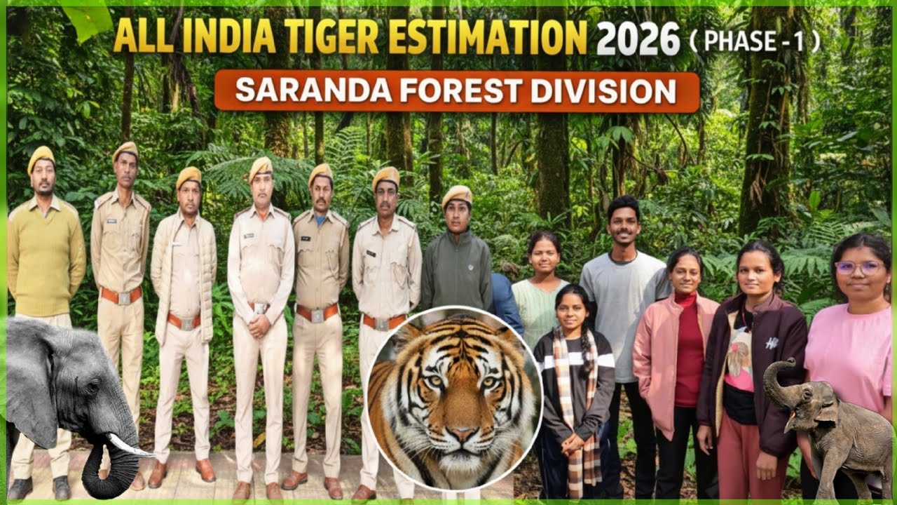 6th All INDIA TIGER ESTIMATION 2026 ( Phase-1) | Saranda Forest Division, Chaibasa Jharkhand 