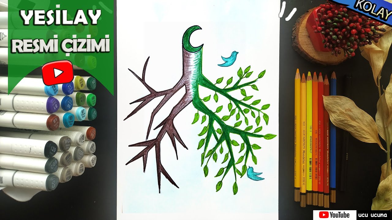 Yeşilay Resmi Çizimi Kolay