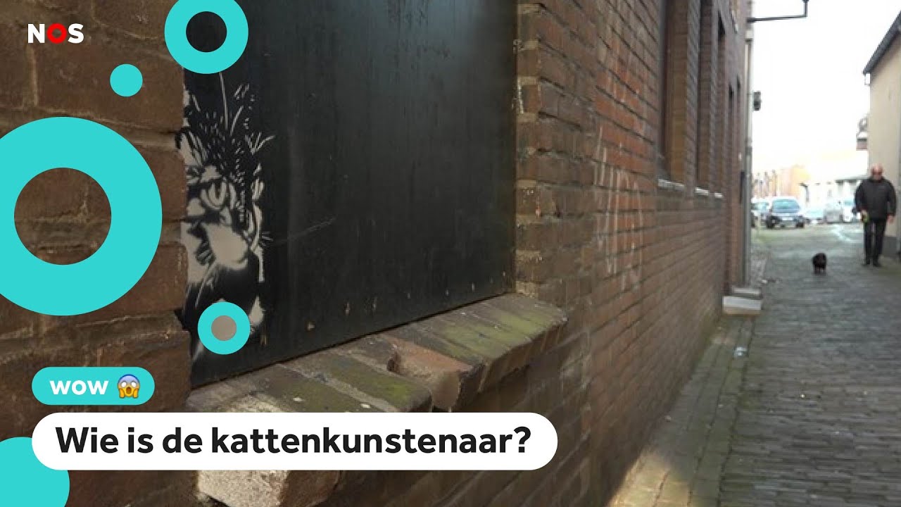 Overal verschijnen mysterieuze katten in Tiel