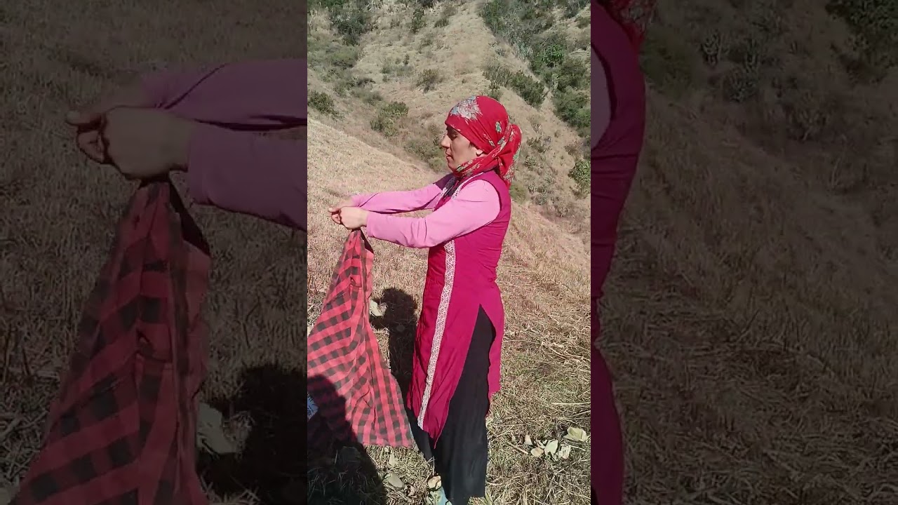 आज घास काट के तक गए