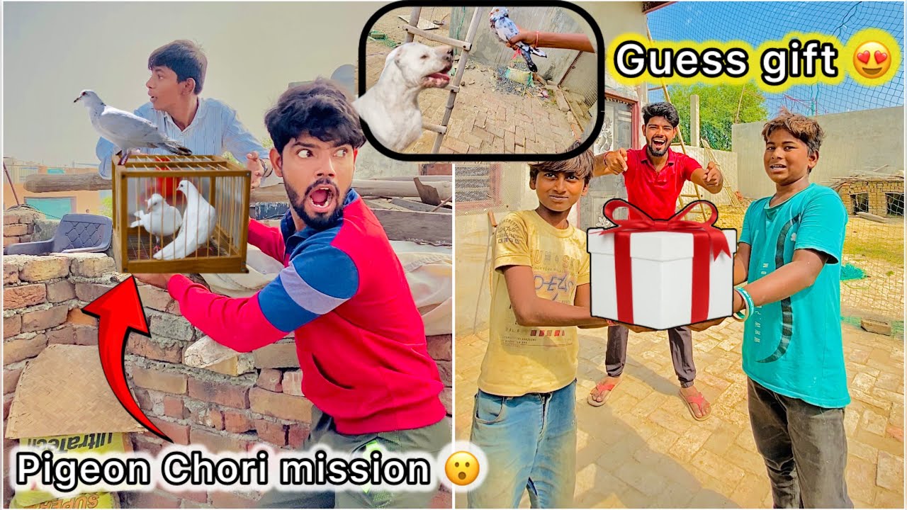 Kabootar Chori karte hue Pakde Gaye 😮 || Bacho ko diya Suprise 🎁