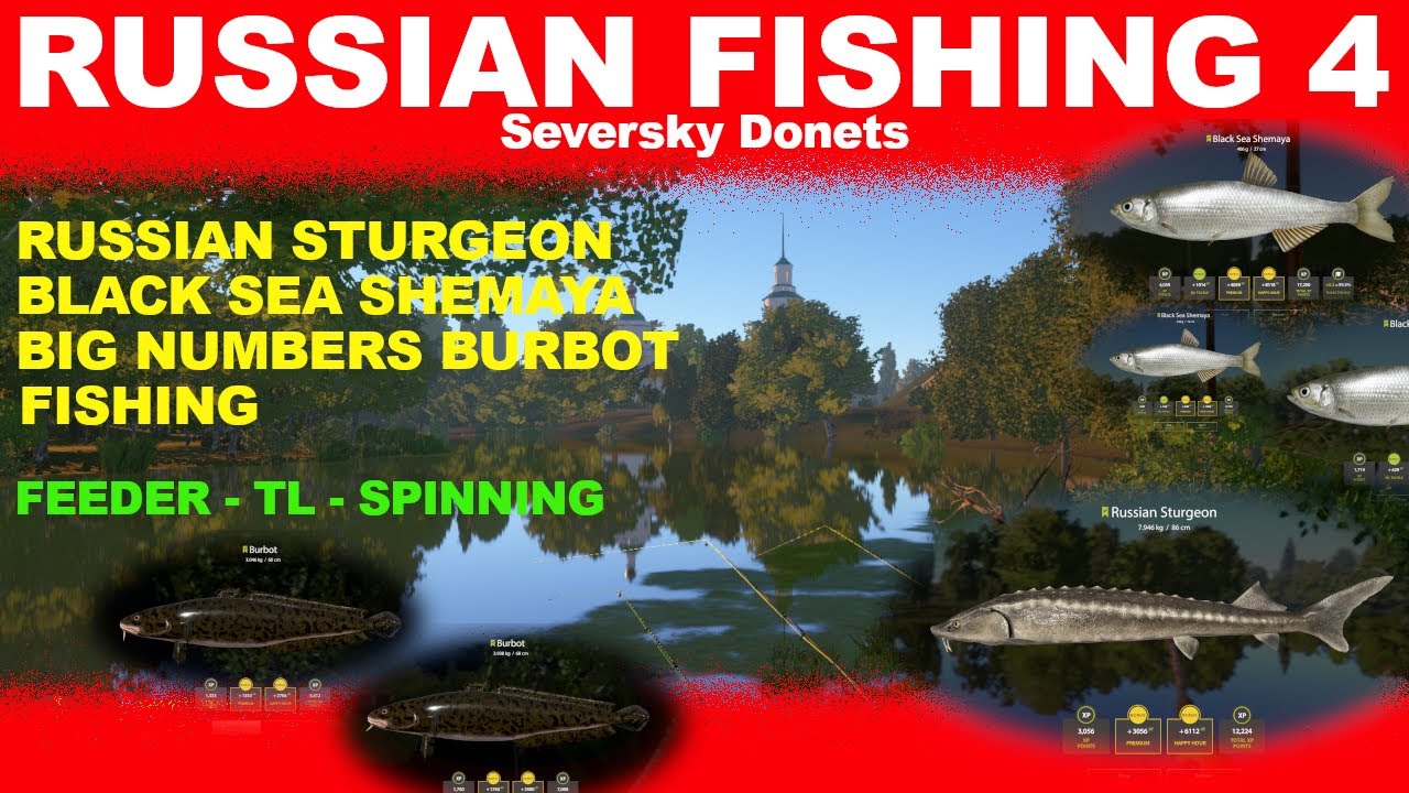 RUSSIAN FISHING 4 - Seversky Donets - LIVEBAIT - STURGEON - BLACK SEA SHEMAYA - Hot Burbot Fishing!