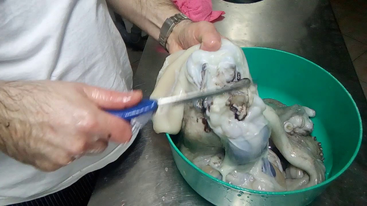 How to clean octopus,cistenje hobotnica