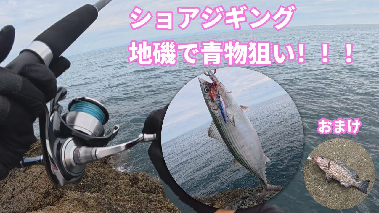 秋のショアジギング！地磯でジグパラショートを投げ続けた結果...！！！
