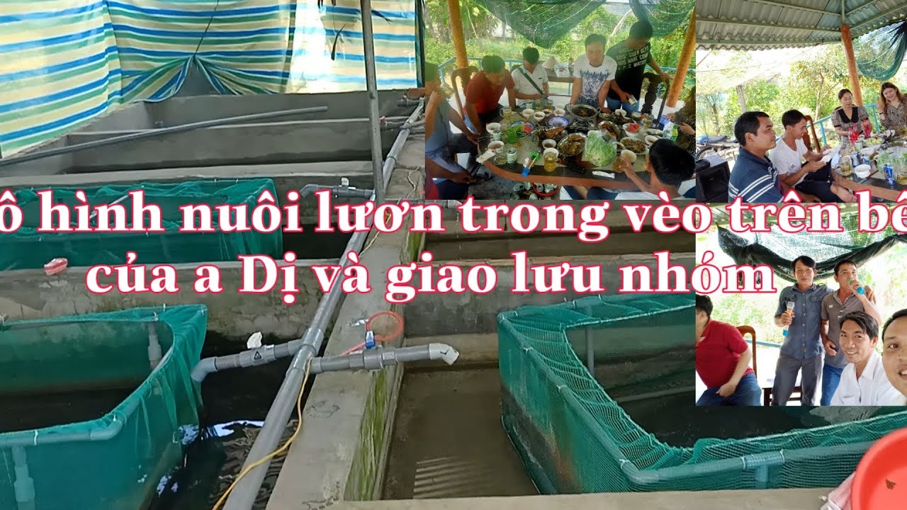 tham quan mô hình nuôi lươn trong vèo trên bể của a Dị/eels farming/muoi nông thôn.