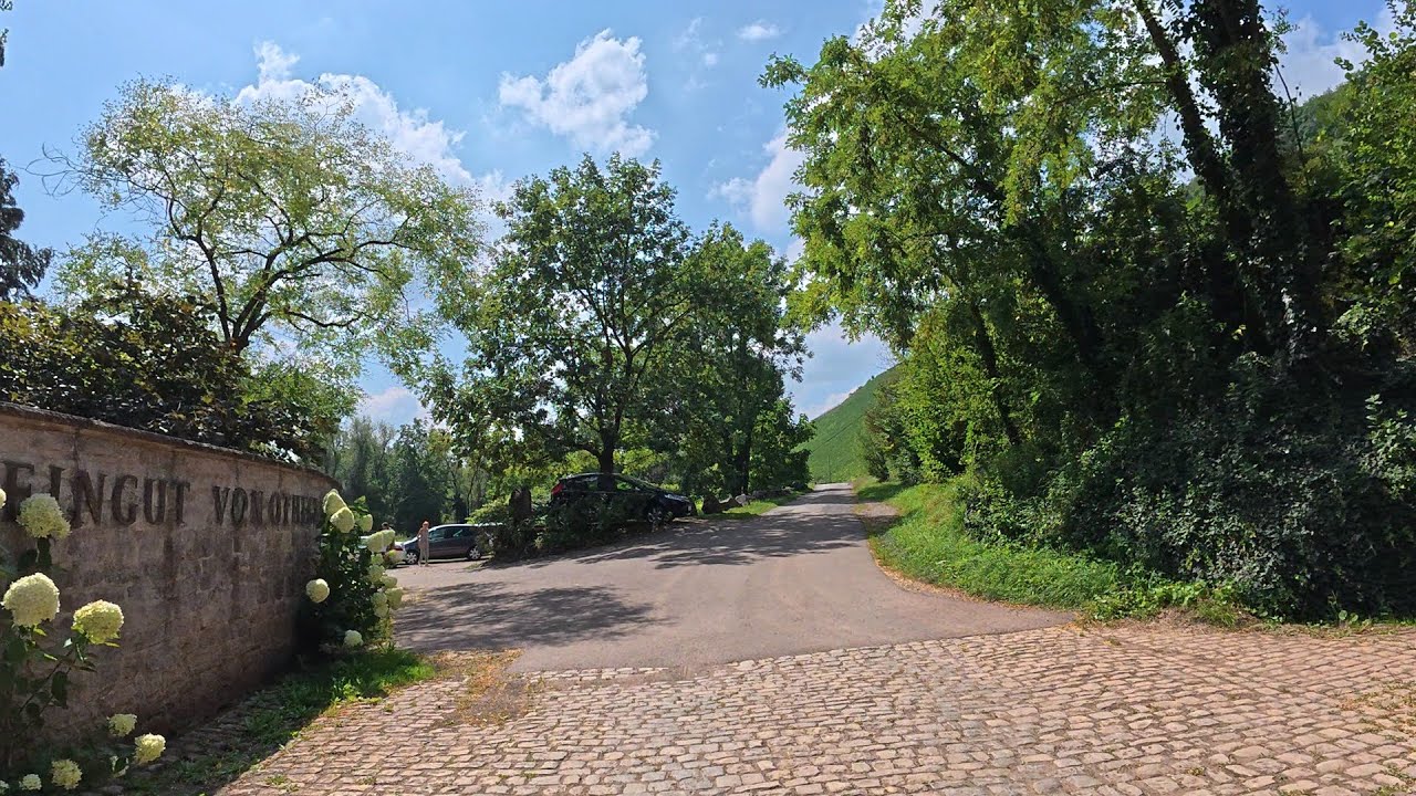 Sunshine Indoor Cycling Workout Saar River and Vineyards 🚴‍♂️🌞💚🍷 4K Video