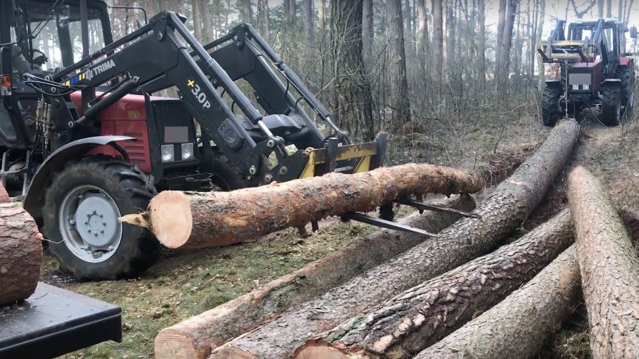 Mit Belarus Holzrücken im Wald