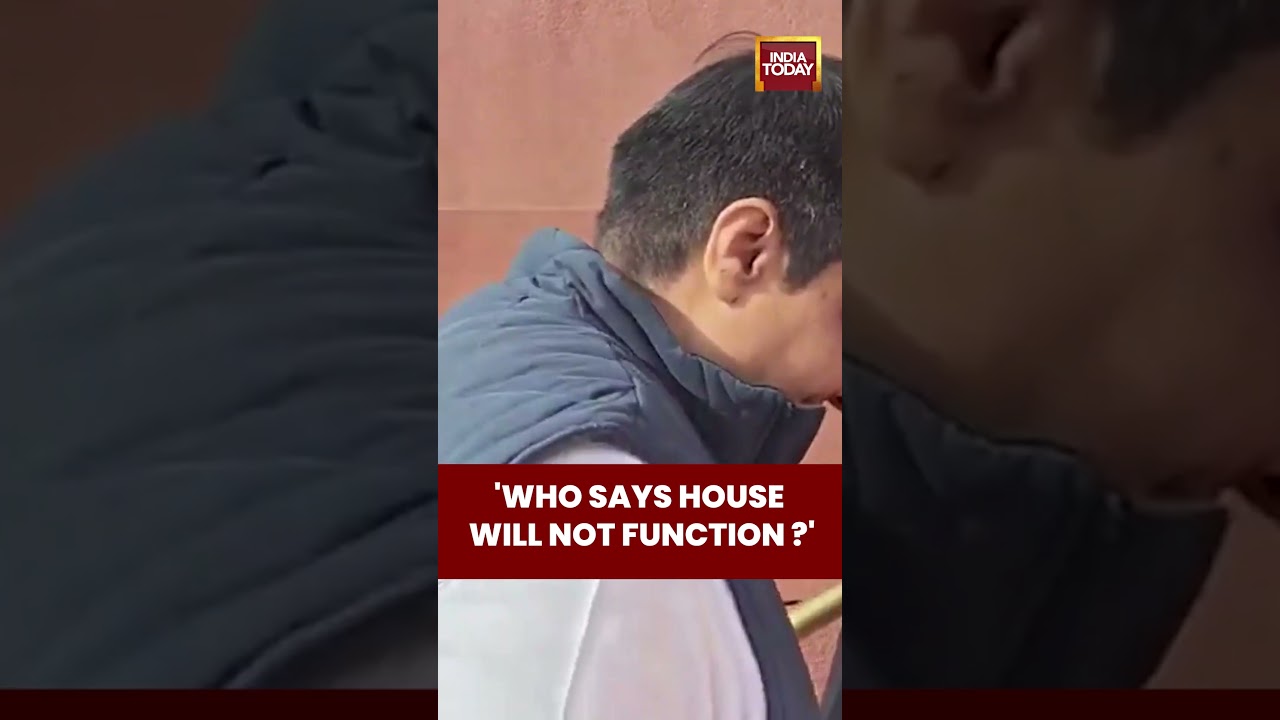 Mallikarjun Kharge & Rahul Gandhi Arrive at Parliament | &ldquo;Who Says House Won&rsquo;t Function?&rdquo;