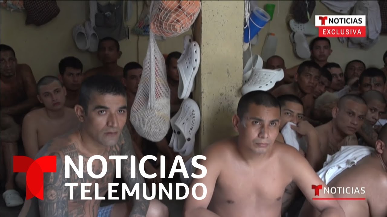 Pandilleros en El Salvador conviven en la misma celda | Noticias Telemundo