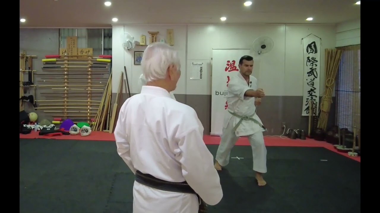 Gojushiho Kata & Bunkai Applications Part 1
