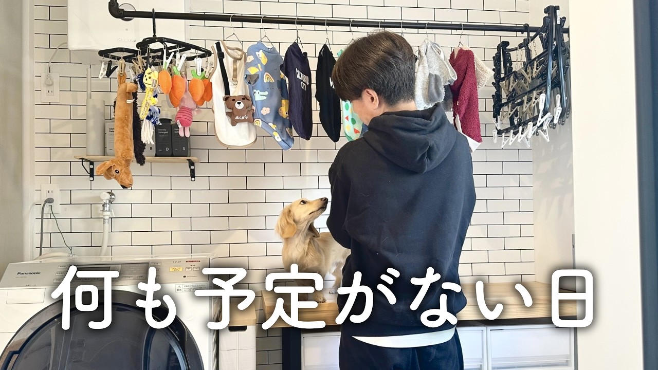 【犬と暮らす休日】予定0→幸福度100％｜愛犬のおもちゃリセット