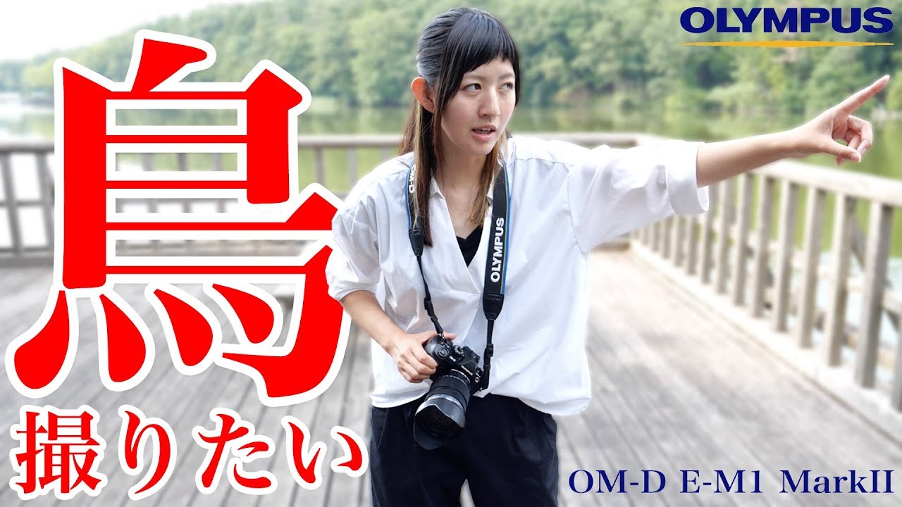 【写真撮影】OLYMPUS OM-D E-M1 MARKII ＋ ED 12-100mm F4.0 IS PRO で鳥を撮りに行った結果がこちら【ともよ。】