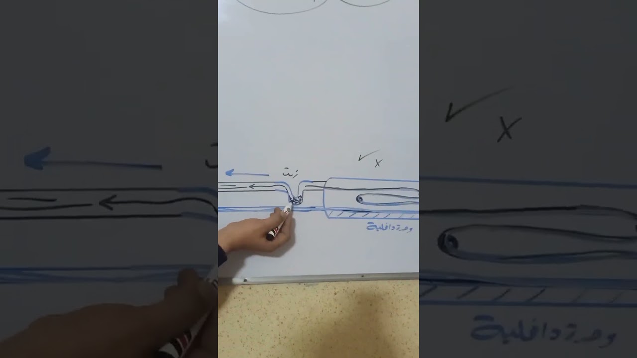 شرح مصيدة الزيت Oil trap مصيدة الدهن لطلبة المعهد الفني الصناعي قسم تبريد وتكييف الهواء