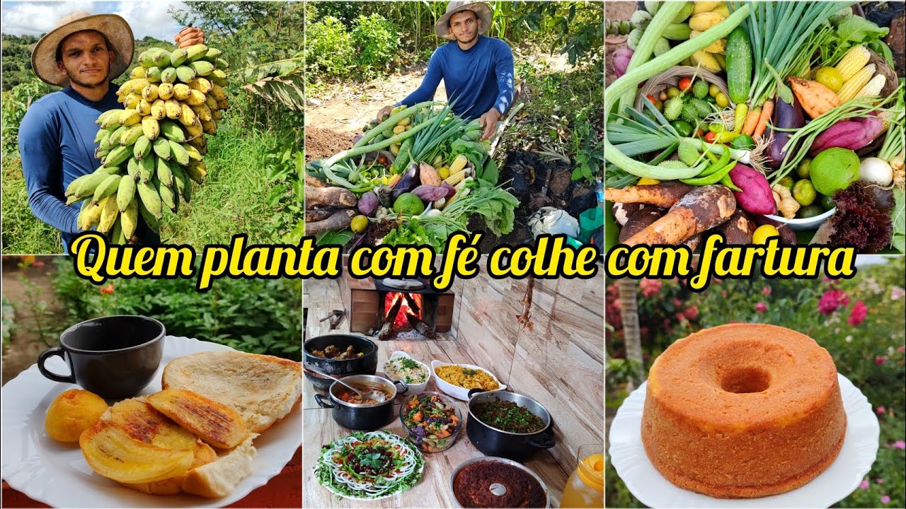 SUSTENTABILIDADE NA ROÇA//fazendo a feira no sítio//colhendo com fartura//novas plantações/receitas
