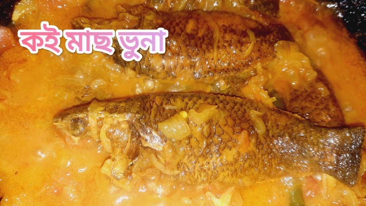 টমেটো দিয়ে কই মাছ ভুনা || দেশি কই এর মজাদার রেসিপি || #কইমাছ #কই #ভুনা #koifish  @bdblogerzakia
