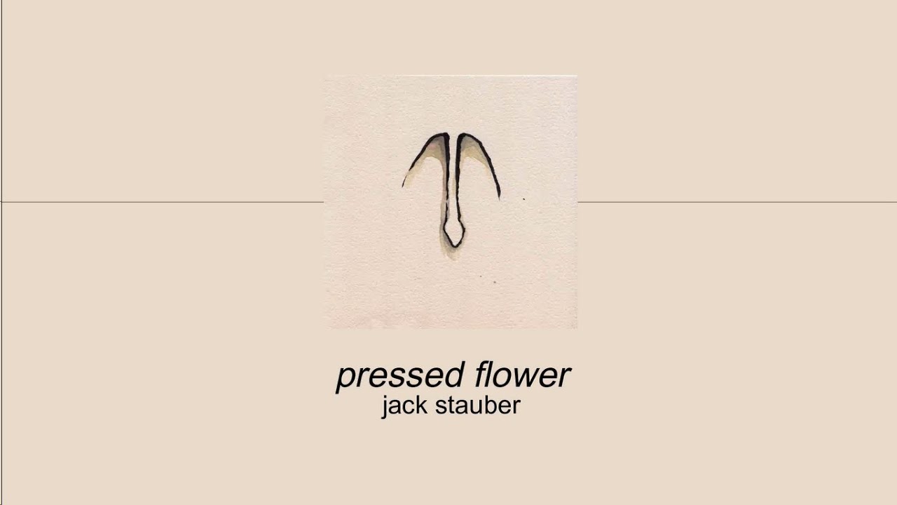Jack Stauber - Pressed Flowers (Sub. Español)