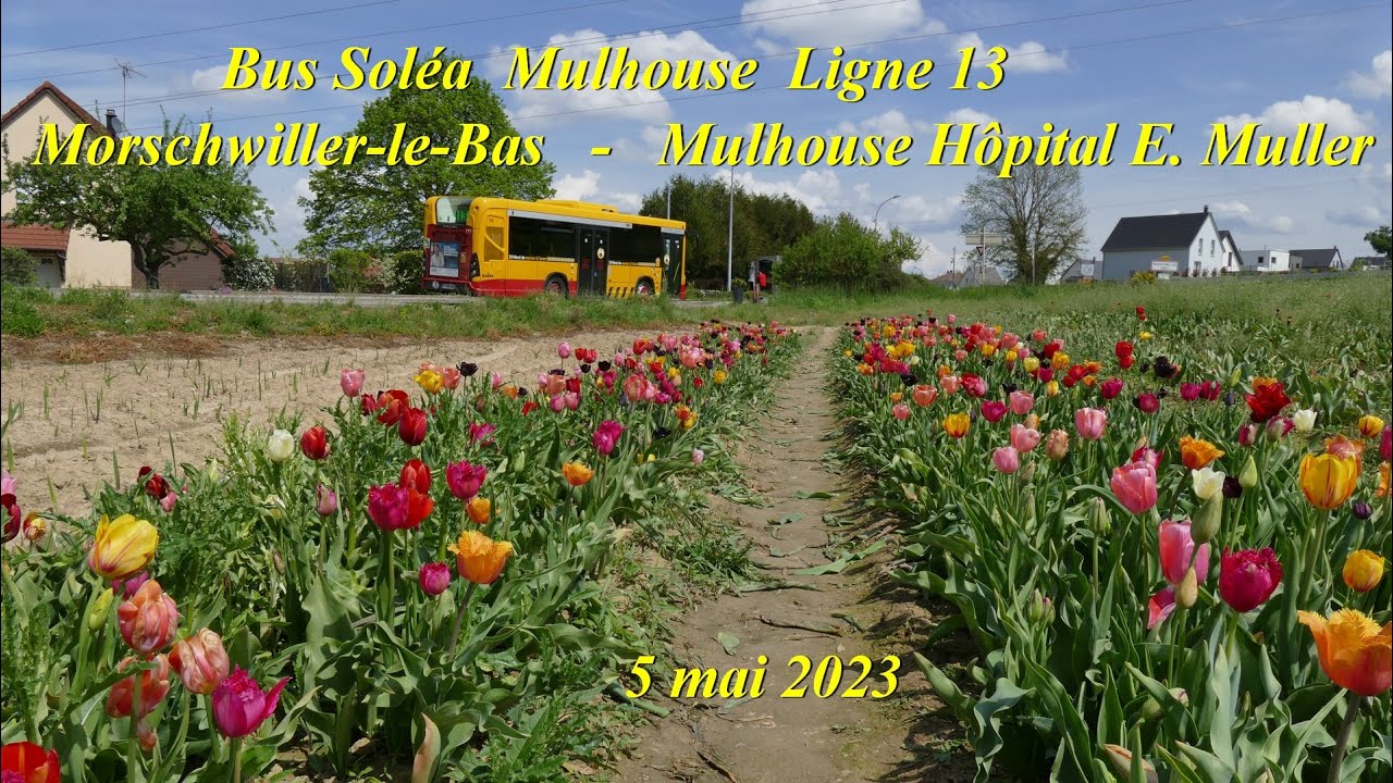 Bus Soléa 13  Morschwiller-le-Bas - Mulhouse Hôpital E. Muller.