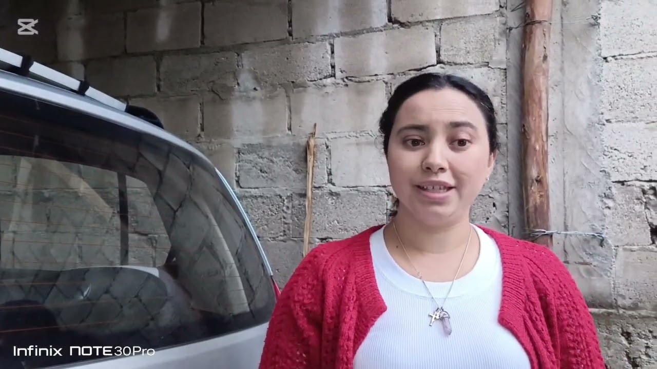 Mecánica sistema de suspensión 