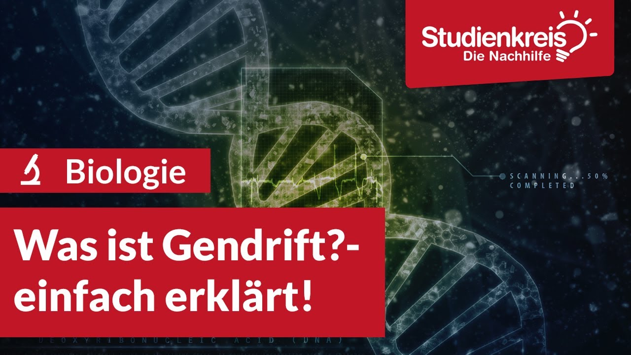 Was ist Gendrift? | Biologie verstehen mit dem Studienkreis