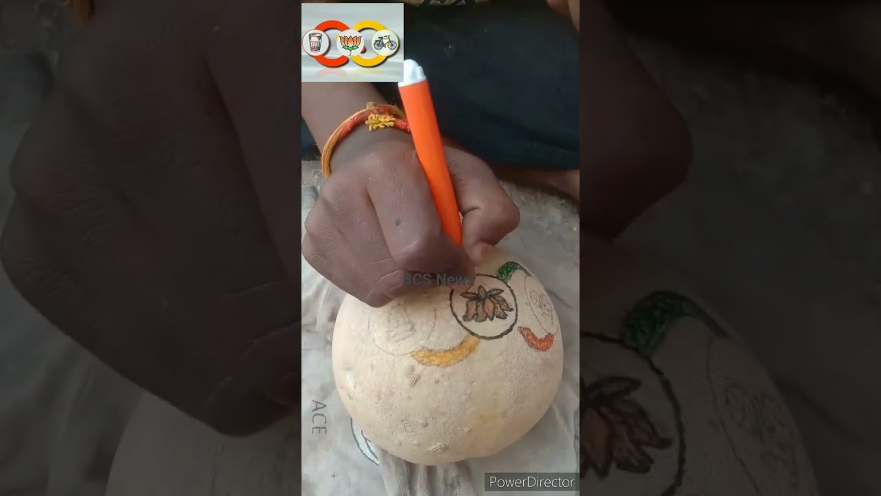 3rd Class Student drawing/arts on Muskmelon JSP, TDP and BJP  alliance Logo art