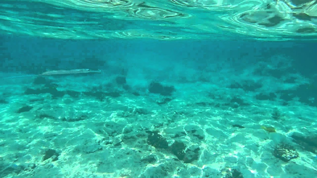 DSCN0071