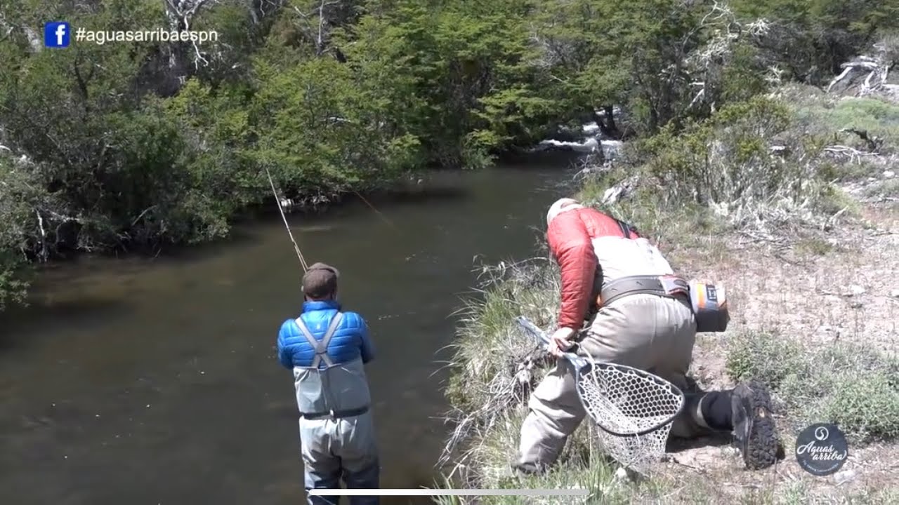 Laguna y Arroyo El Fango Tecka Lodge Aguas Pesca de Truchas Arriba ESPN T:13 E: 5 2020