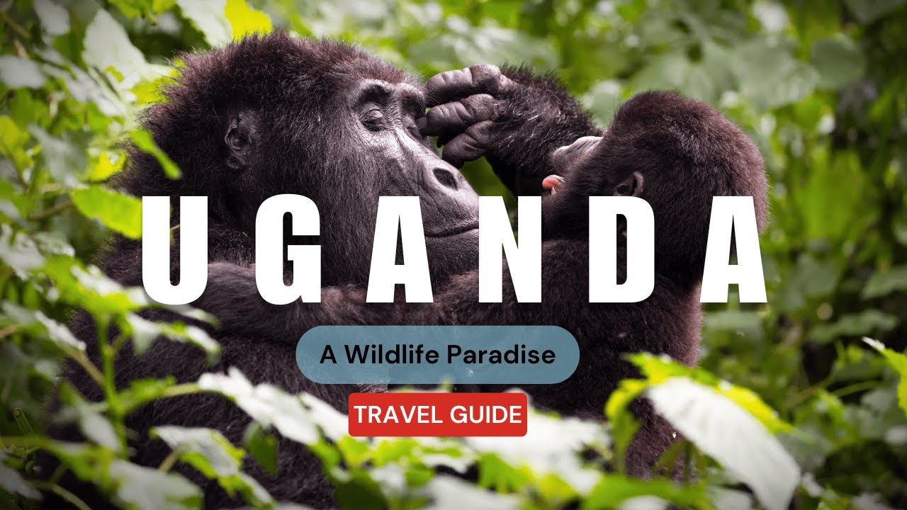 Discover Uganda: Top 10 Best Places | Travel Video | Travel Guide