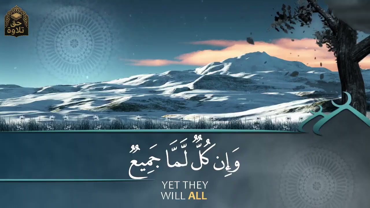 استمع بنية الرزق والشفاء ( يس - الرحمن - الواقعة - الملك ) الشيخ أحمد العجمي.