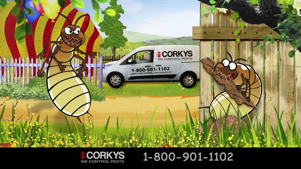 Corkys Pest Control -  Termites