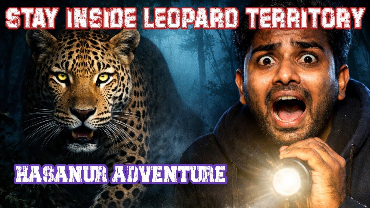 🔥🐆Terrifying Night Stay Inside Sathyamangalam Tiger Reserve | Hasanur Forest Adventure 🐅| Jolly Trip