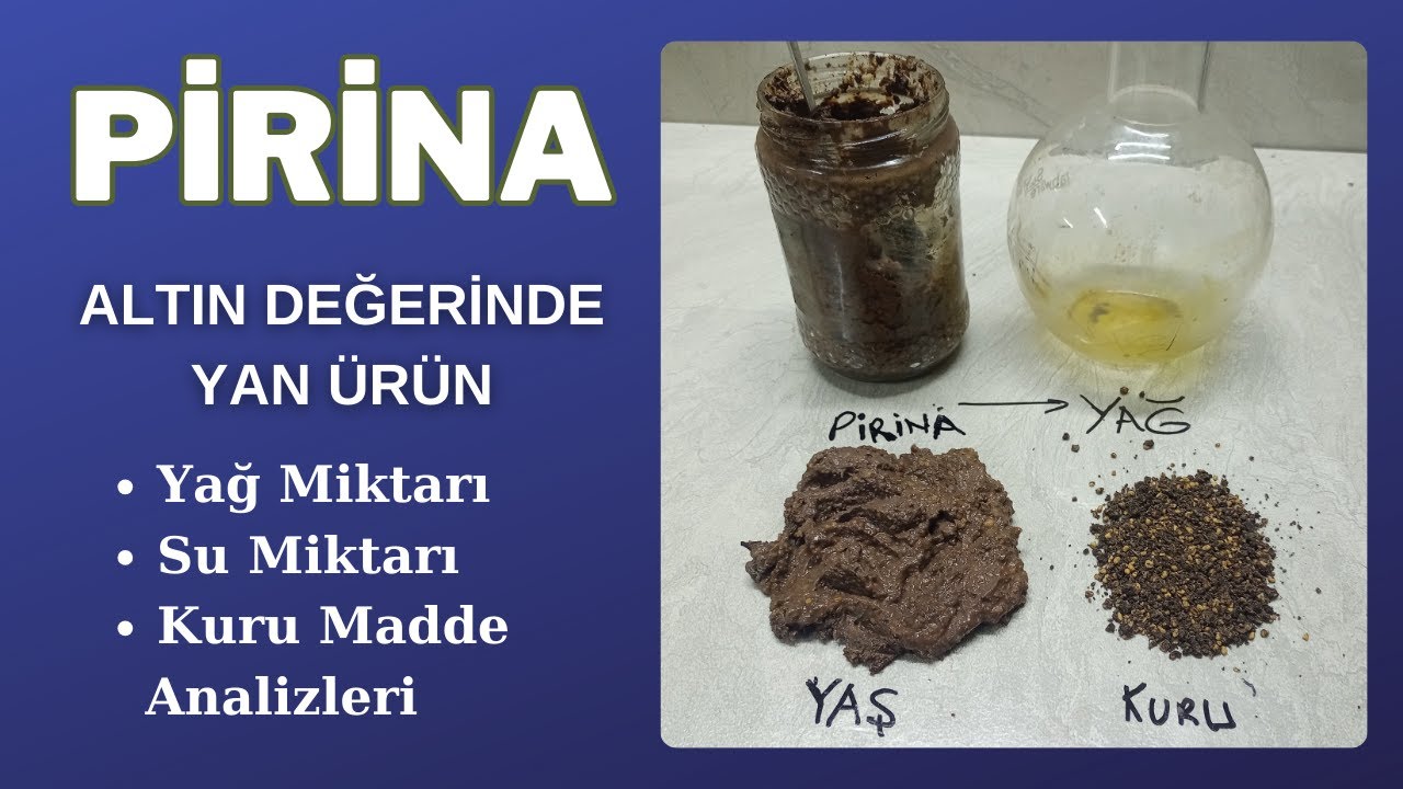 PİRİNA ve ANALİZİ: Kalan Yağ, Su, Katı Madde Miktarlarının DeneyselTespiti. Pirina Kullanım Yerleri.