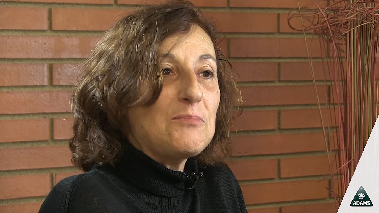 Testimonios de Certificados. Actividades Administrativas