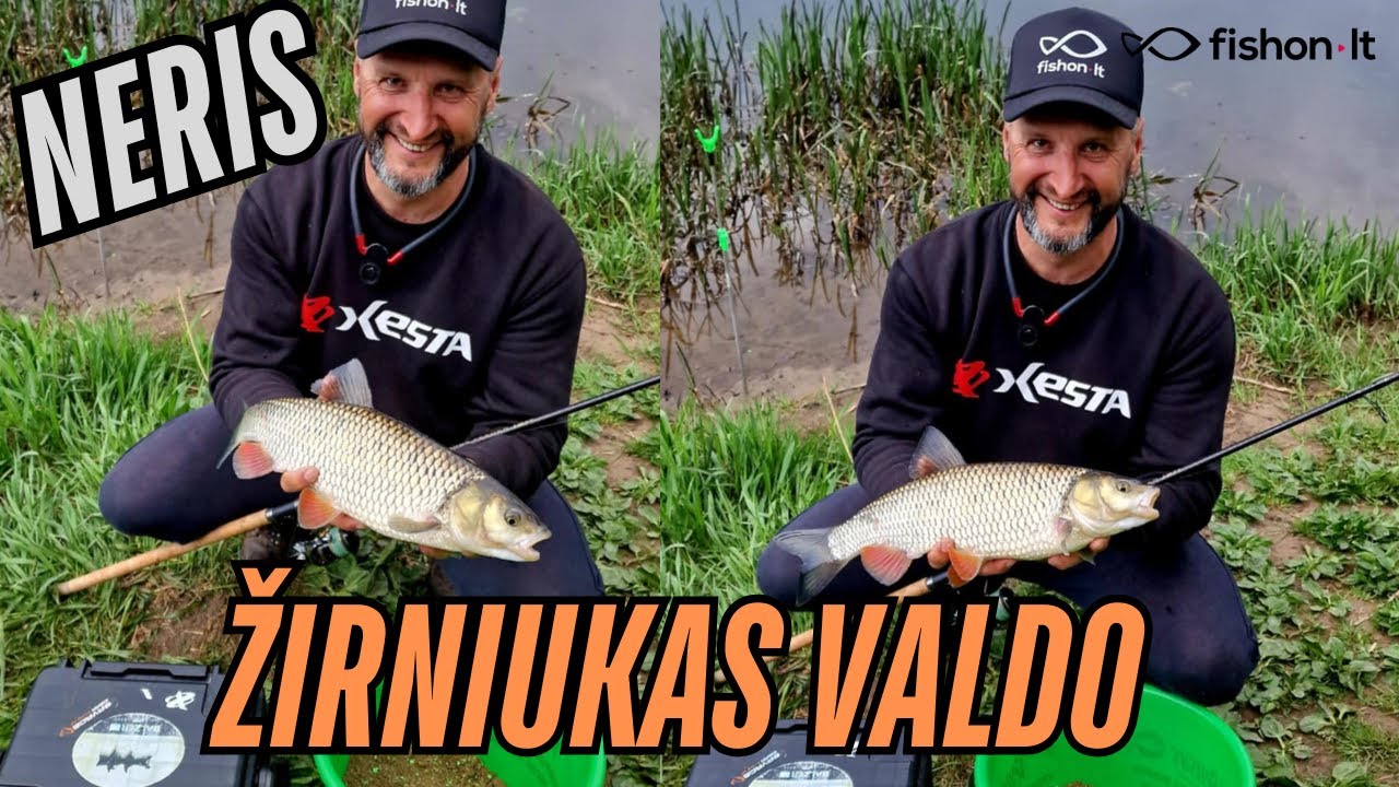 Neris | Žirniukas valdo
